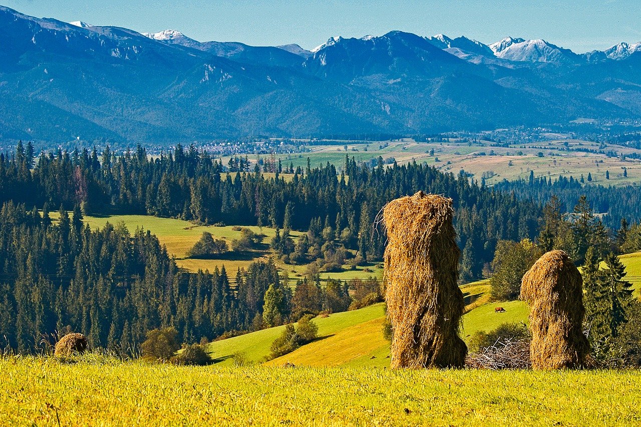 Tour Zakopane desde Cracovia: Guía Definitiva 2024