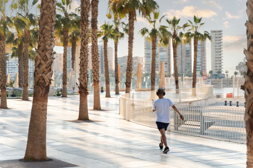 Back view of the caucasian guy walking through the urban street with a lot of palm trees and listening music during the morning